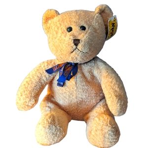 🧸Mugs | Illinois Midwest College Bear🧸